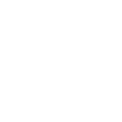 IKO New Icon Tech Help