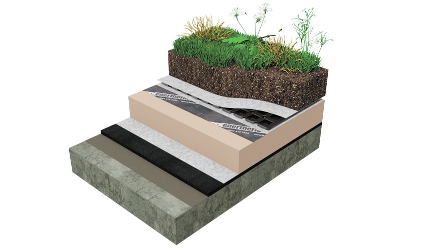 green roof build up